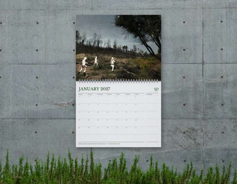 Wall mock-up - 01 January (silhouette)