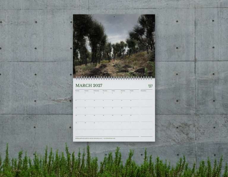 # Wall mock-up - March (original photo)