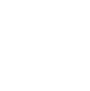 flower volunteer experience lotus white