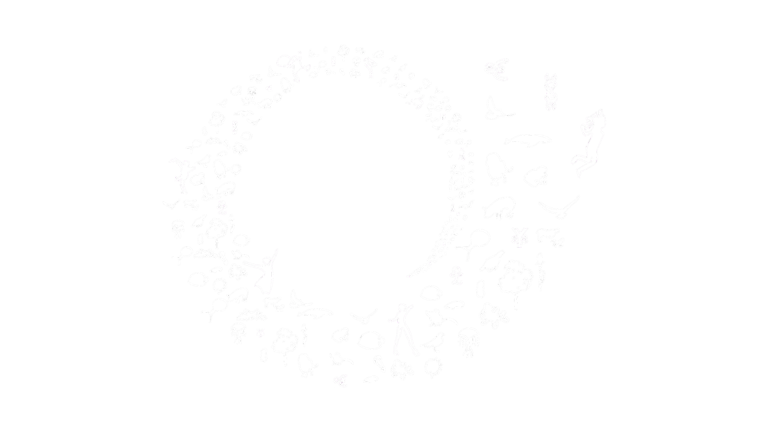 Spiral of Life - cinema white - padded