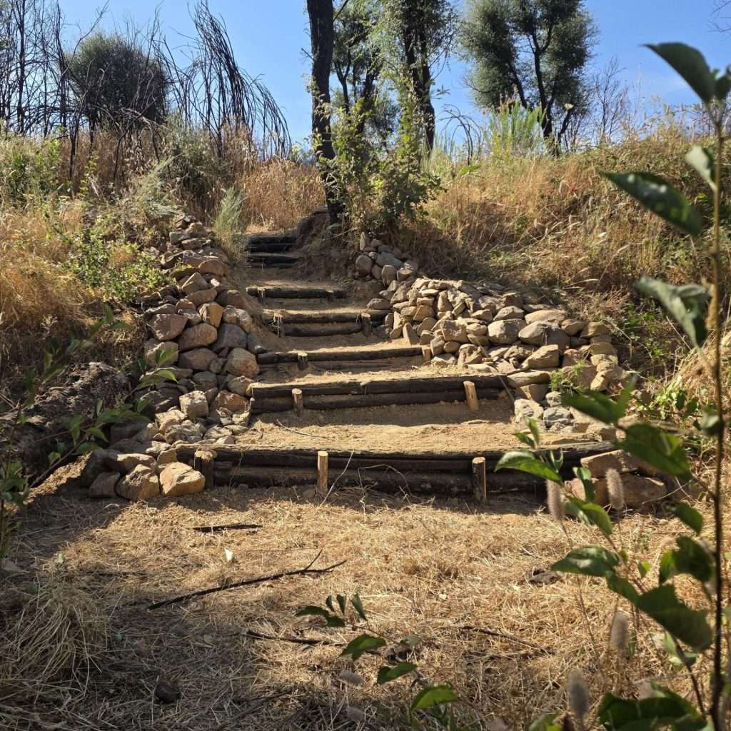 20260712-Monte-Milagre-Building-steps-7-1-scaled.jpg