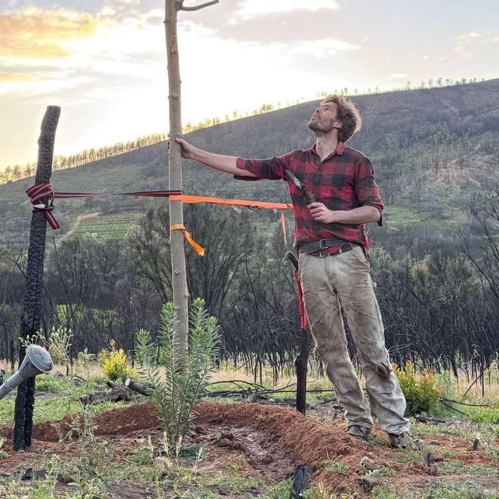 Raymundo-and-the-first-tree-on-Miracle-Mountain.jpeg