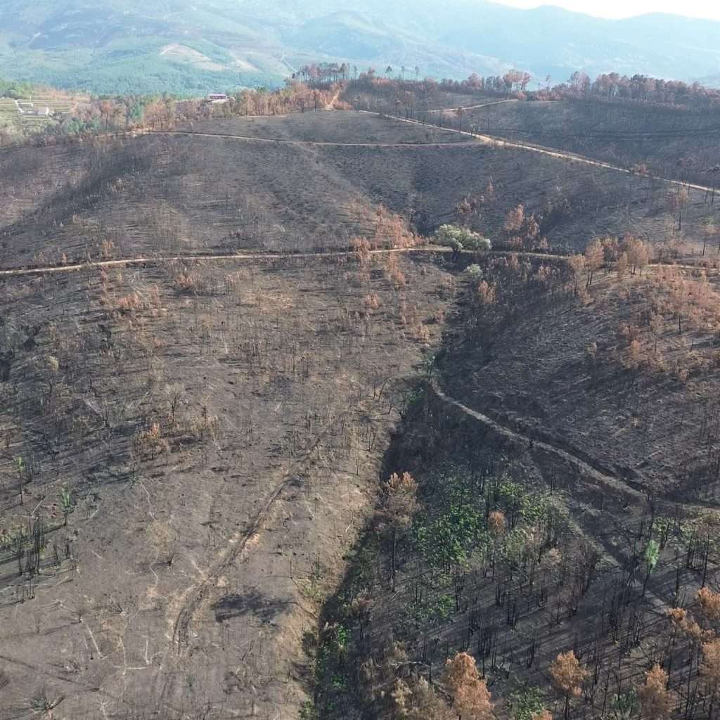 1-Miracle-Mountain-drone-top-post-fire.jpg