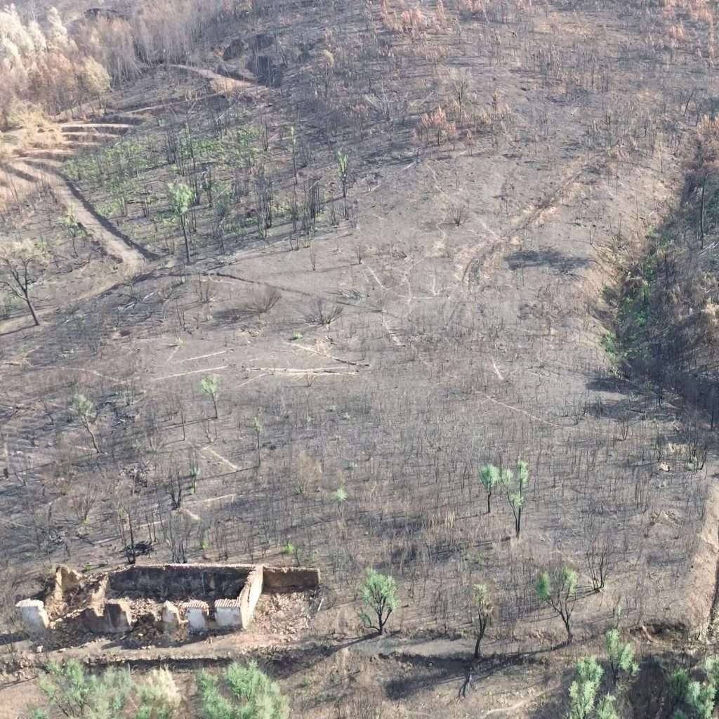 4-Miracle-Mountain-drone-middle-post-fire.jpg.jpg