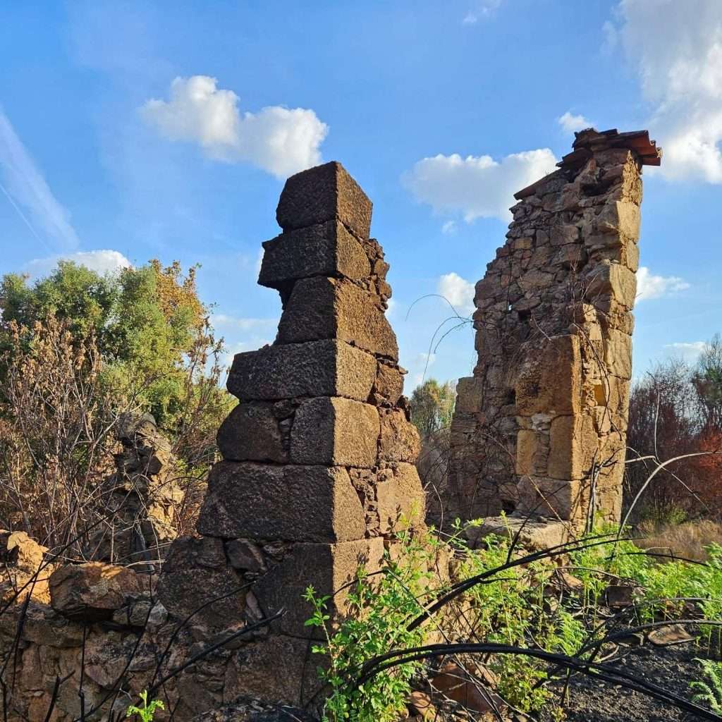 5-Miracle-Mountain-ruin-post-fire.jpeg