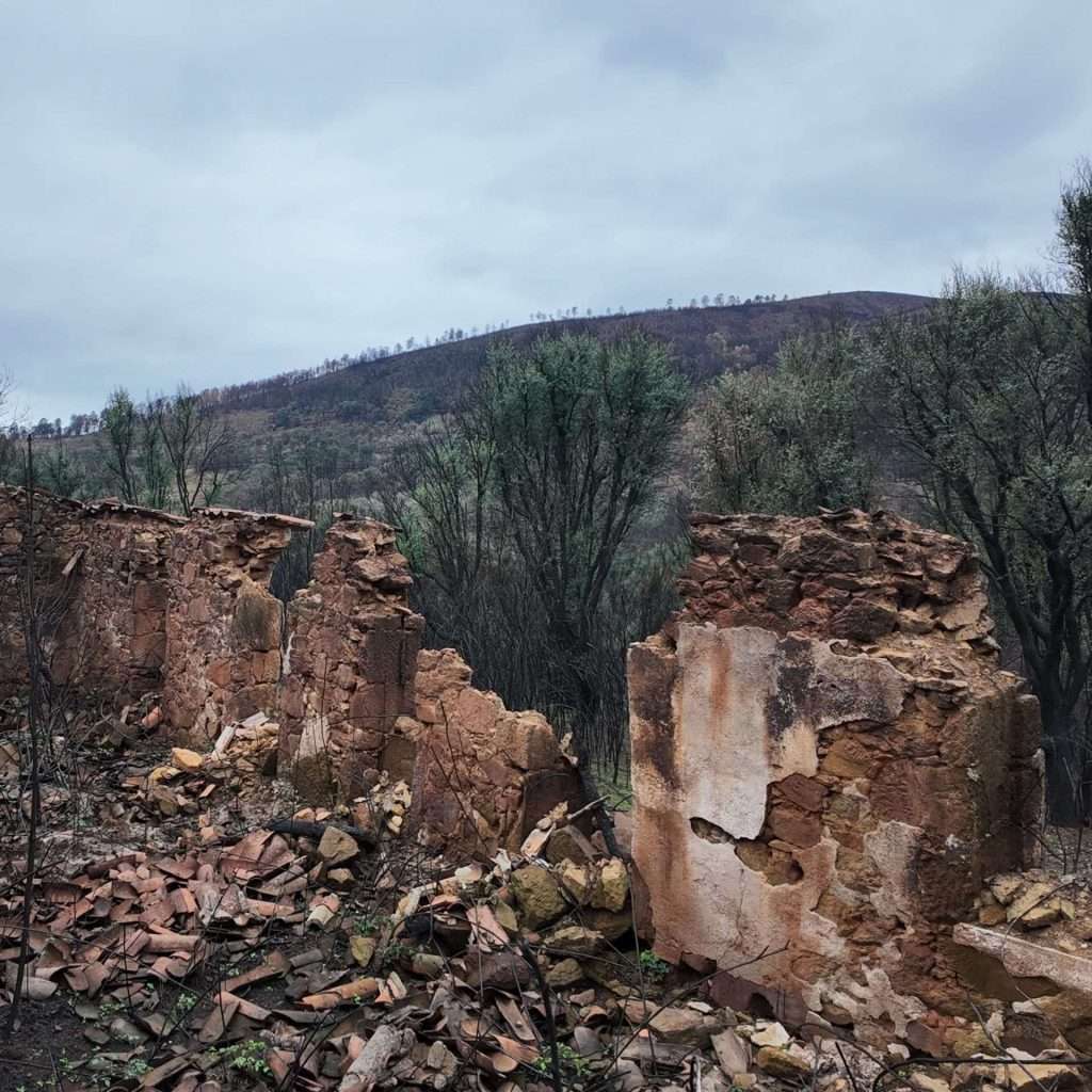 6-Miracle-Mountain-ruin-post-fire-scaled.jpg