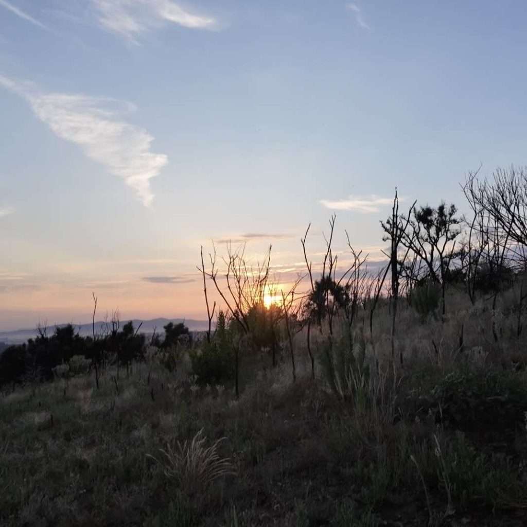 7-Miracle-Mountain-sunrise-post-fire.jpg