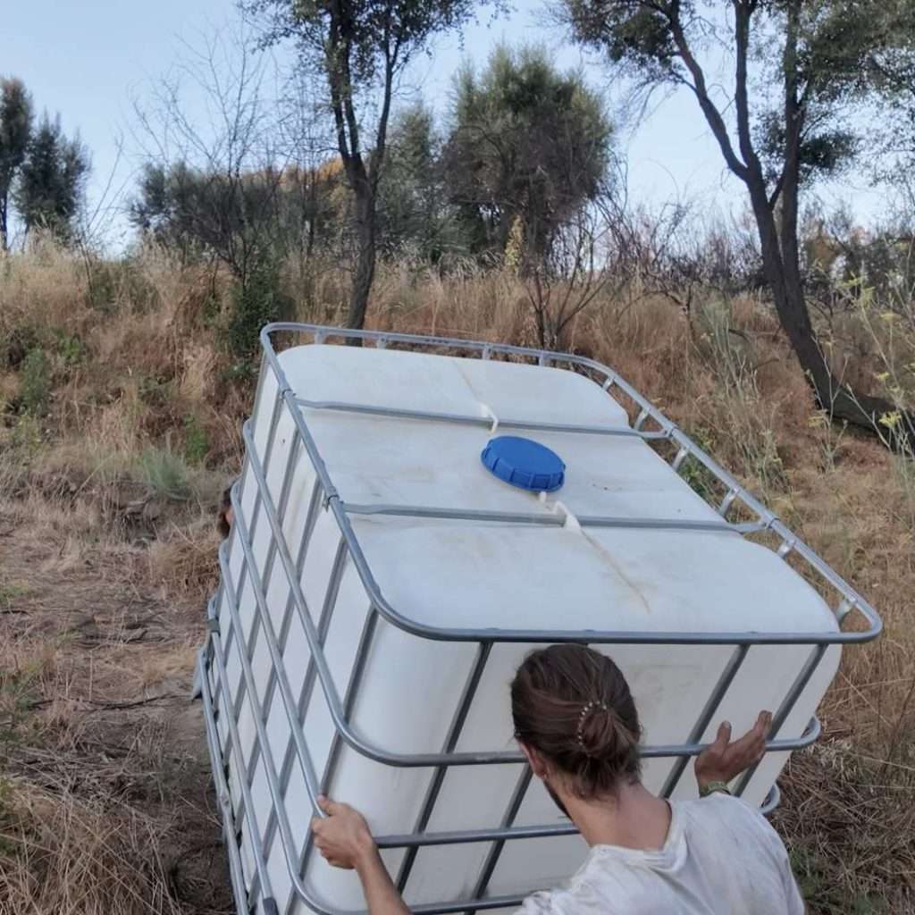 Lifting-the-IBC.jpg