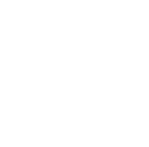 Compass white