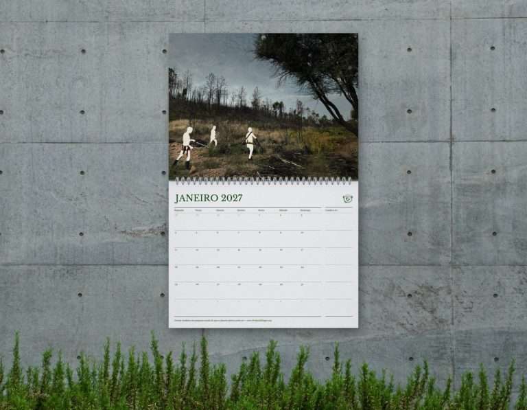 Wall mock-up - 01 January (silhouette) PT