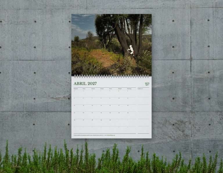 Wall mock-up - 04 April (silhouette) PT