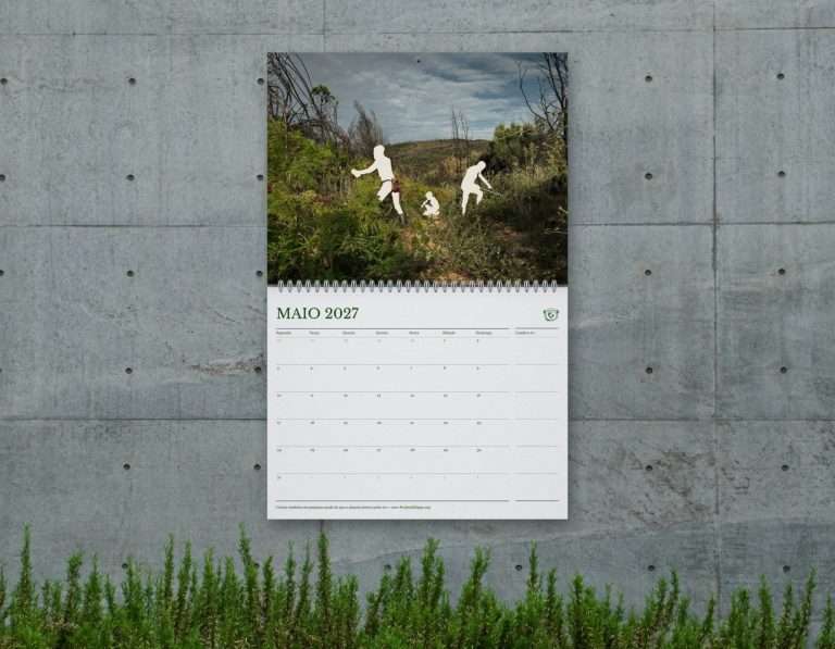 Wall mock-up - 05 May (silhouette) PT