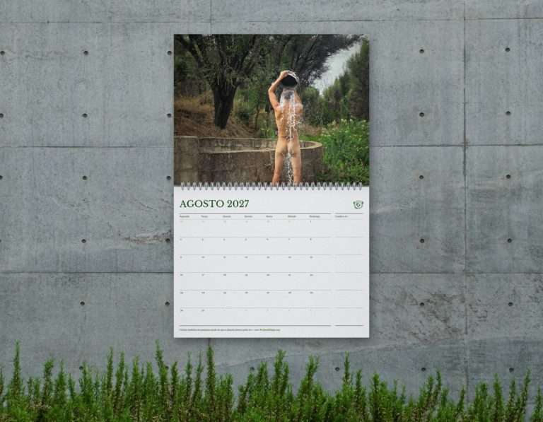 # Wall mock-up - August (original photo) PT